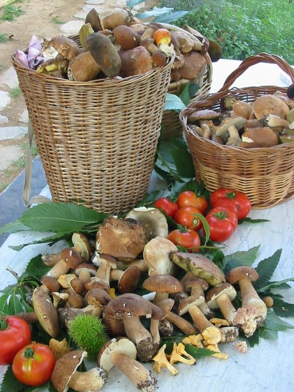Agriturismo Saudon Mulazzo エクステリア 写真